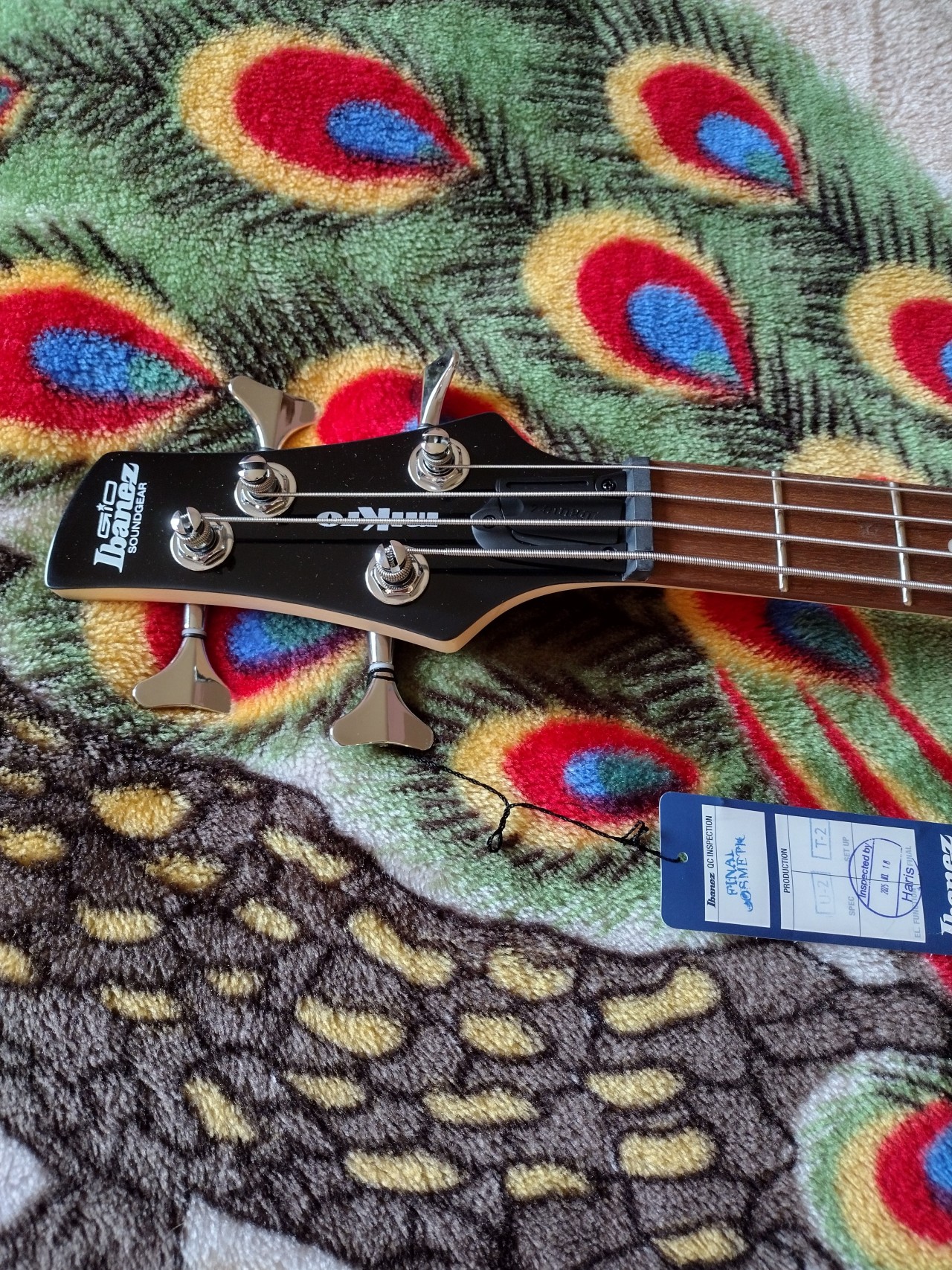 I Got a Bass Guitar by Lobo