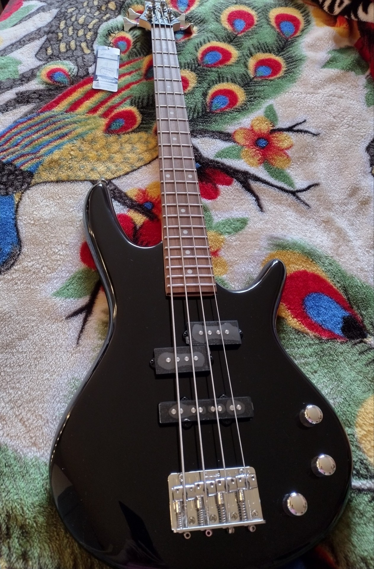 I Got a Bass Guitar by Lobo